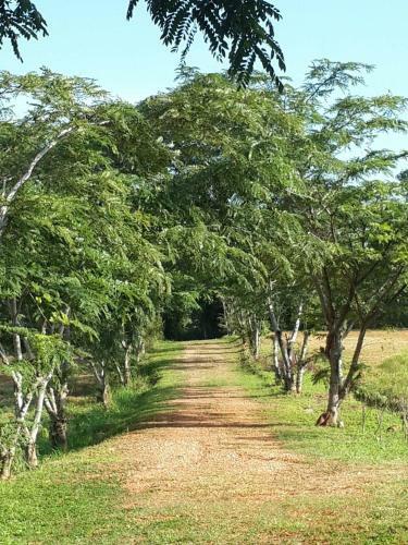 Hotel Khaoyai Nature Retreat