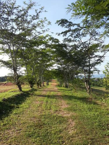 Hotel Khaoyai Nature Retreat