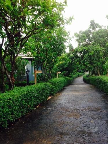 Hotel Khaoyai Nature Retreat