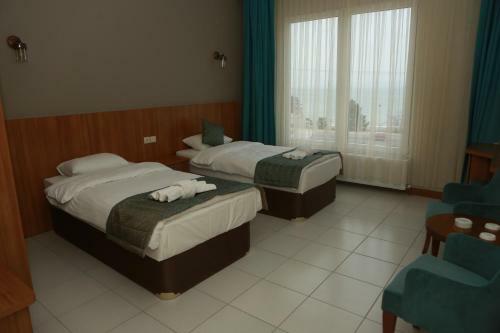 Hotel Fatsa Safi?r Otel