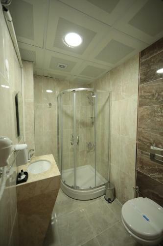 Hotel Fatsa Safi?r Otel