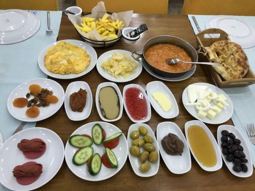Hotel Fatsa Safi?r Otel
