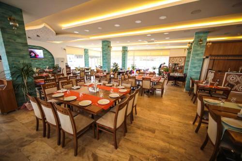 Hotel Fatsa Safi?r Otel