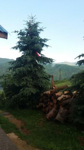 Motel Kumbet Chalet