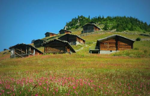 Motel Inanlar / Huseyin Inan Hotel