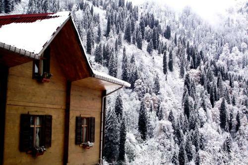 Oberj Hotel