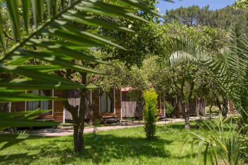 Agroturismo Likya Evleri Olympos