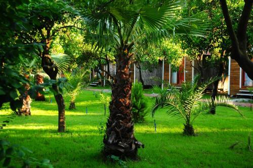 Agroturismo Likya Evleri Olympos