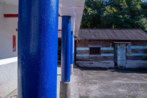 Down Hwa No.8