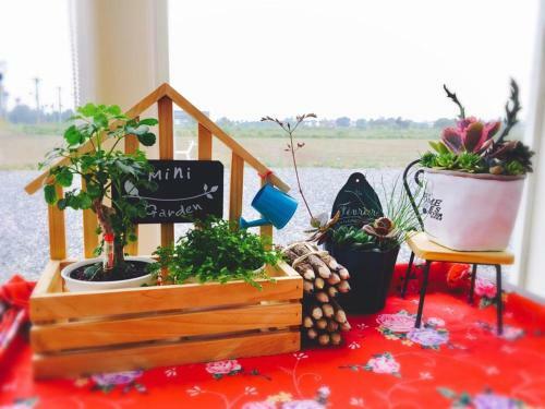 Mini Home B&B