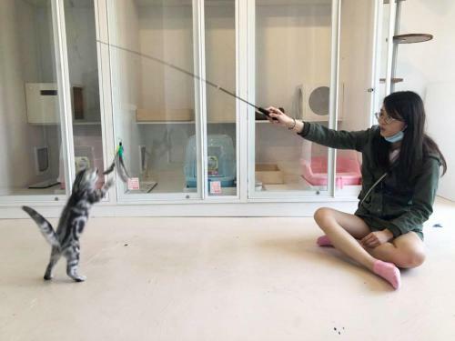 Apartamento Meo-woo Cat Travel