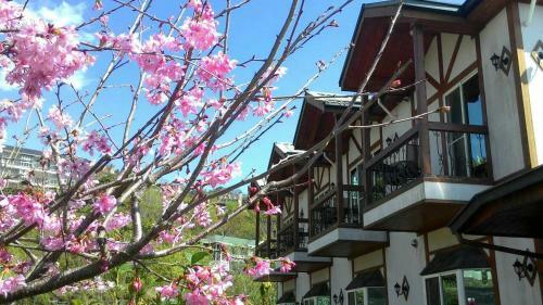 Hostal Starvilla