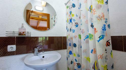 Posada Eco Centr Zrub