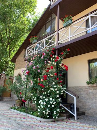 Apartamento Mini Hotel On Kostandi Street