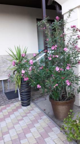 Apartamento Mini Hotel On Kostandi Street