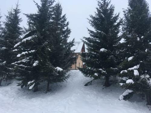 Hostal Zoryani Karpaty