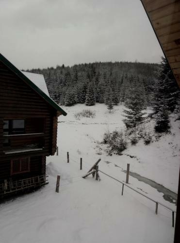 Hostal Wooddream