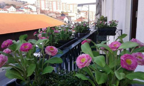 Vistadouro