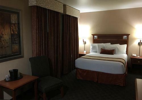 Hotel Midnight Rose & Mcgills Casinos