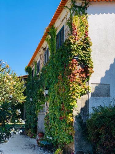 Hostal Casa De Sao Miguel Douro