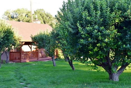 Lodge Arrowhead Country Inn And Cabins
