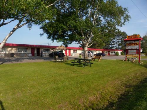 The Silver Birch Motel