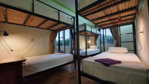 Albergue Phong Nha Amanda Homestay