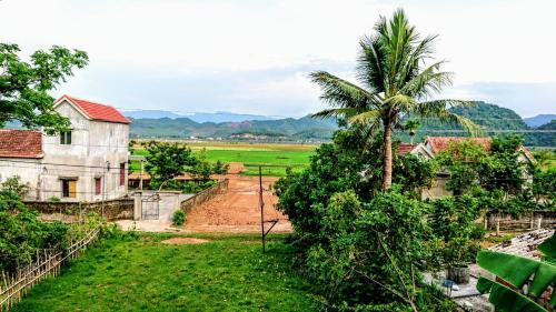 Phong Nha Tarzan's Homestay