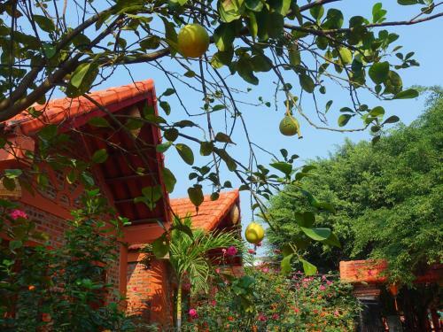 Trang An Village Homestay