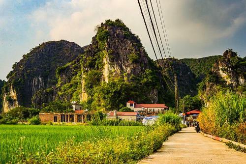 Tam Coc Bamboo