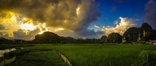 Tam Coc Bamboo