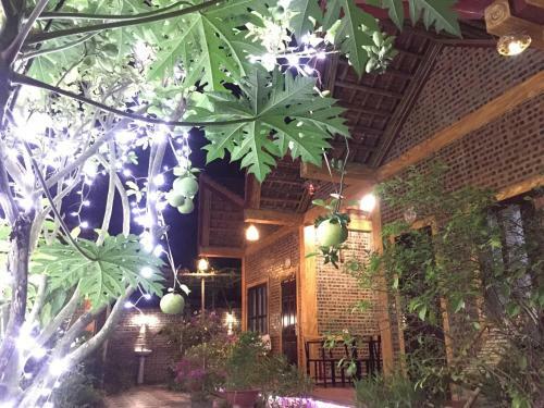 Hotel Tam Coc Vinh Thinh Homestay
