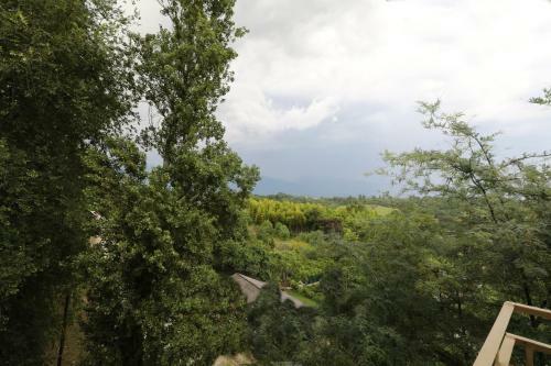 Posada Zolotoy Bereg Baza Otdyha