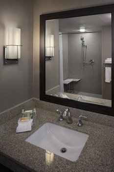 Hotel Holiday Inn Downtown Superdome (duplicated 42093)
