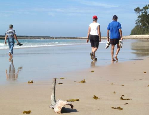 Aparthotel Mollymook Surfbeach Motel & Apartments