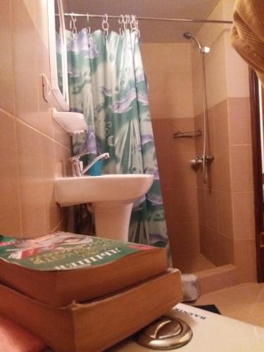 Hostal Novyi Zamok Guest House