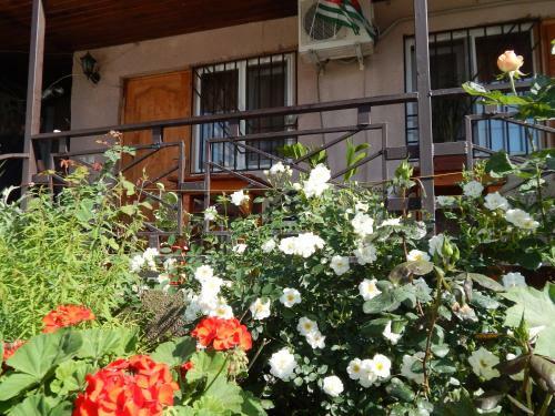 Hostal Otdykh U Tatyany Guest House