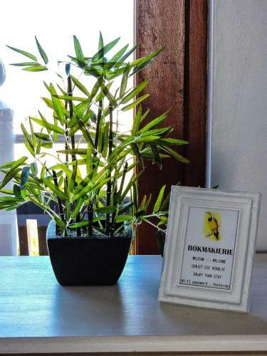 Hostal Amzee Bokmakierie Guest House