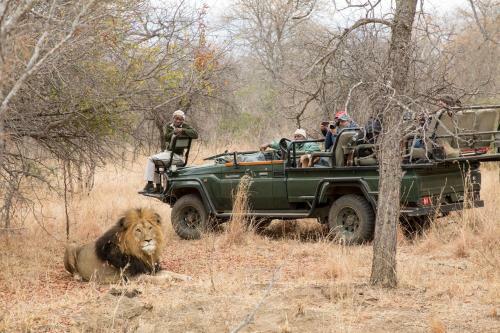 Chisomo Safari Camp