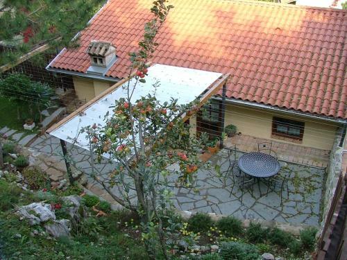 Hostal Bio Guesthouse Kmetija Toncevi