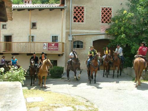 Hostal Bio Guesthouse Kmetija Toncevi