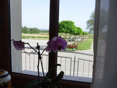 Hostal Gostilna In Preno?i??e Kocjan