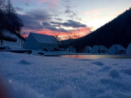 Charming Slovenia - Herbal Glamping Resort Ljubno