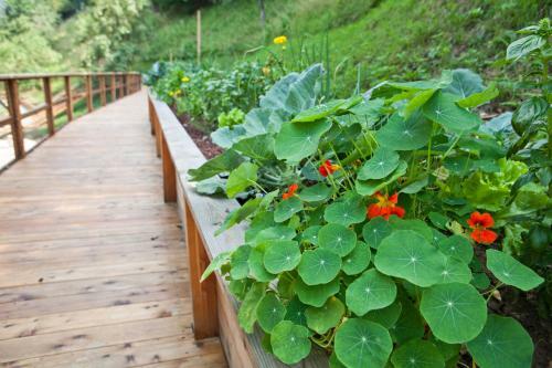 Charming Slovenia - Herbal Glamping Resort Ljubno