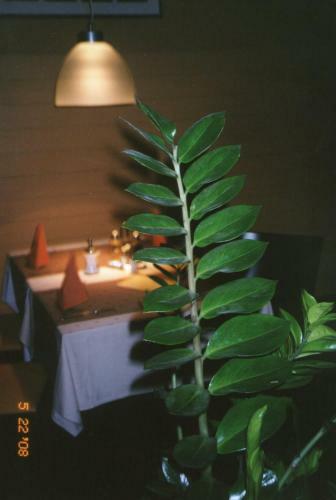Hostal Guesthouse Ob Soto?ju Budi?