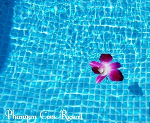 Phangan Cove Beach Resort