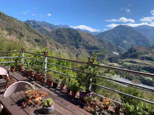 Hostal Lameizi Succulent Cafe Guesthouse