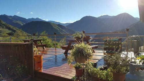 Hostal Lameizi Succulent Cafe Guesthouse
