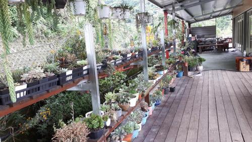 Hostal Lameizi Succulent Cafe Guesthouse