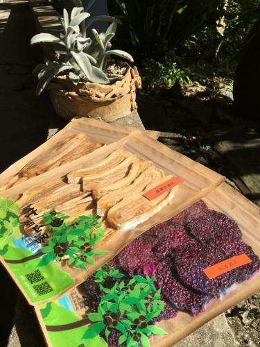 Bed & Breakfast Juhu Farmstay